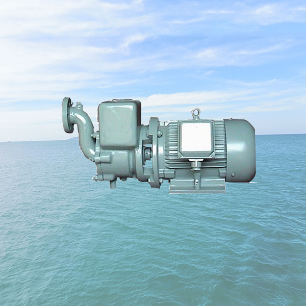 CWX Marine Self-priming Centrifugal Vortex Pump
