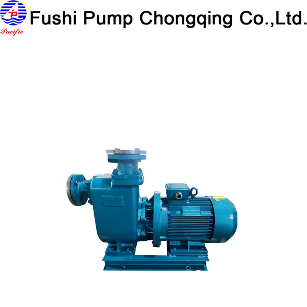 CBZ Marine Horizontal Ballast Water Pump