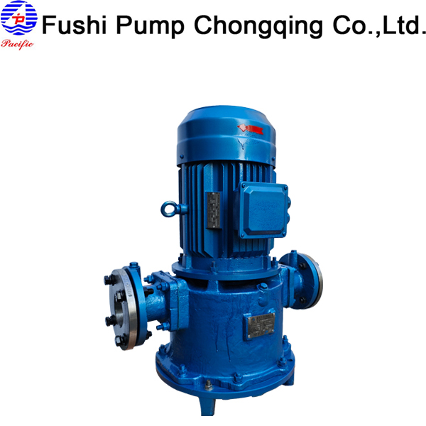 CLZ Marine Vertical Ballast Water Pump