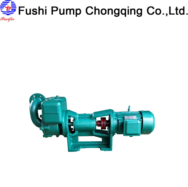 CWX Marine Cooling Water Pump